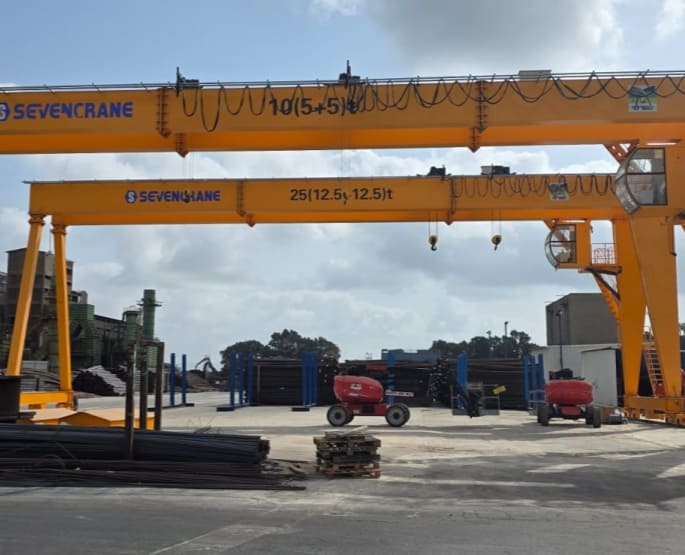 double girder gantry crane-case
