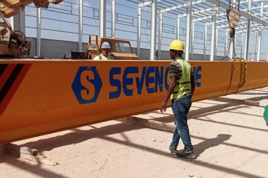 SEVENCRANE-Single Girder Bridge Crane Installation